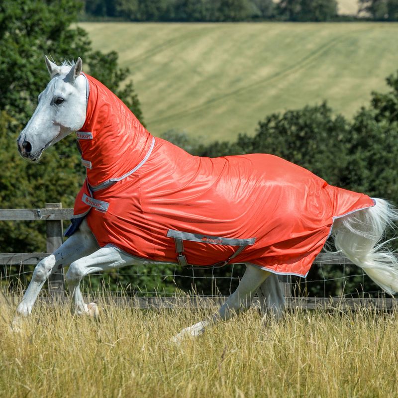 Bucas Freedom Fly sheet Pony