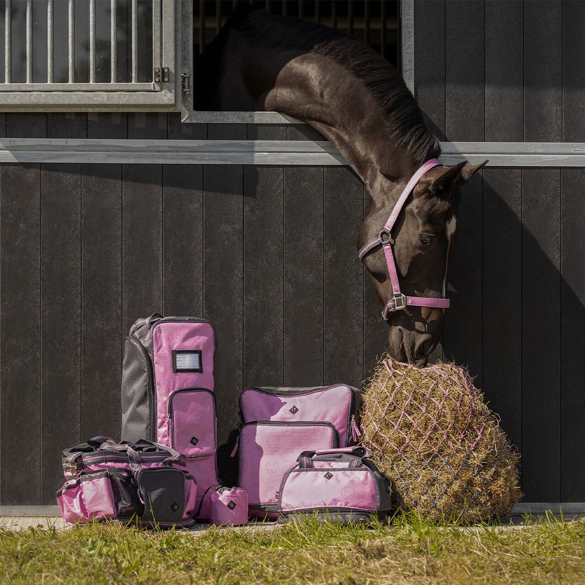 Stallveske  - flere farger