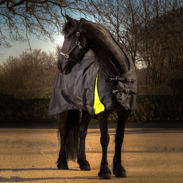 Hovedbilde Globus 0 gram Regndekken