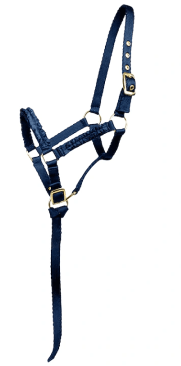 HS Føllgrime - myk web