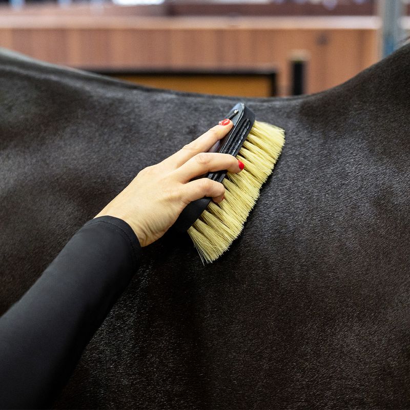 Royal Grooming Set – luksus børstesett til hest