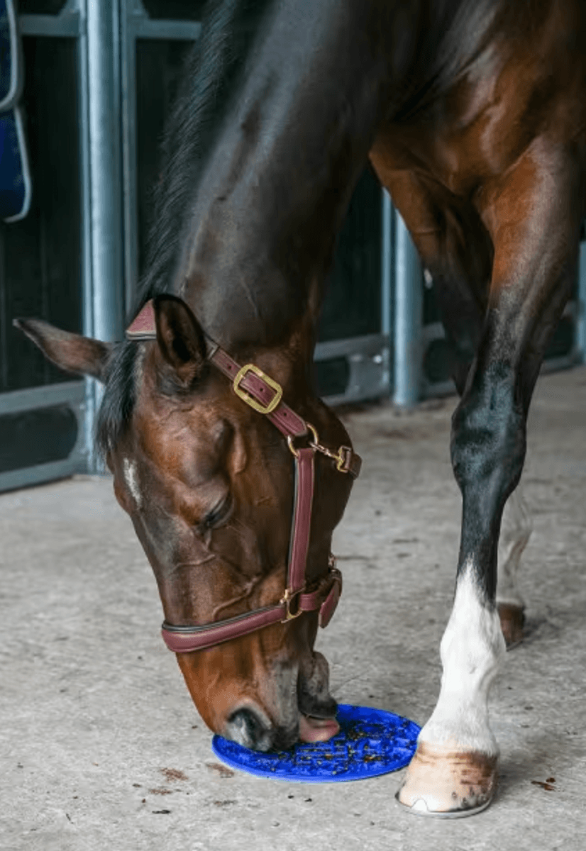 Likit Graze Maze matte